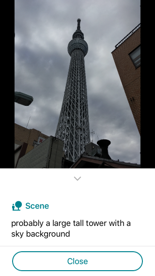 也不認識 Skytree，只知道是一座塔。