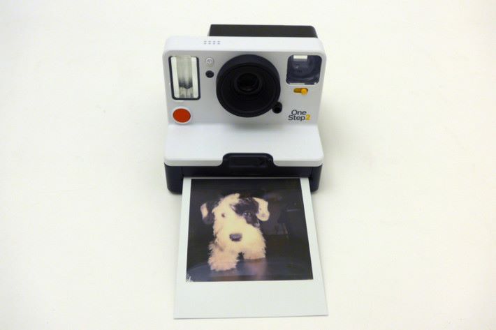 正方形相紙的確是 Polaroid 的標記，但 Polaroid 的產品並不很受歡迎。