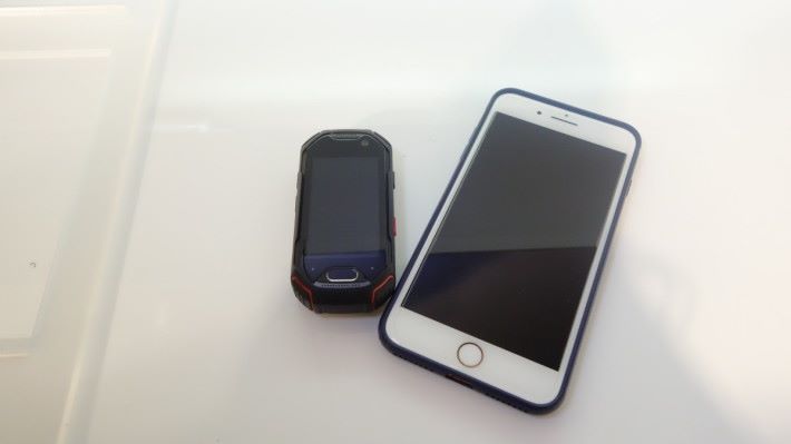 和 iPhone 8 Plus 比較，明顯看到大小的分別。