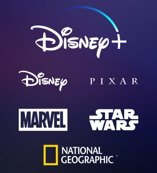 Disney 即將推出的影片串流服務 Disney+ ，囊抱不少皇牌影片，對 Netflix 來說威脅可能比 Apple 更甚。