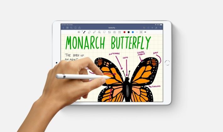 iPad Air (2019) 只支援第一代 Apple Pencil 及 Touch ID，如可對應磁吸式充電的 Apple Pencil 2 及 FaceID 便更完美。
