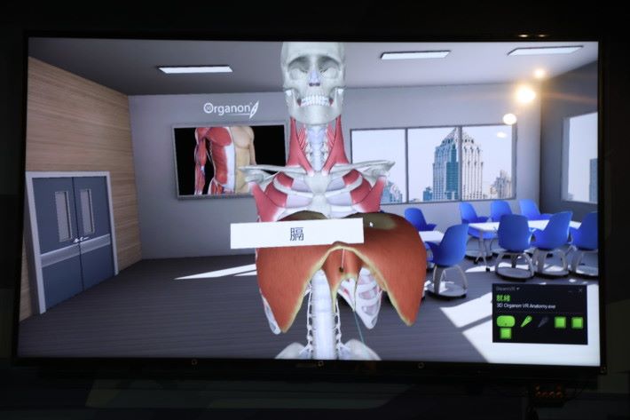 學習醫學運用VR，概念比單看圖片清晰，實用兼有趣。