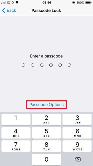 3. 密碼預設為 6 位，可選「 Passcode Opition 」更改格式為 4 字與自訂密碼。