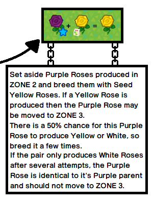 簡單來說就是區域 2 配種所得的紫玫瑰，再拿到耕地外的地方與種子黃玫瑰配種，種出黃玫瑰就是藍星紫玫瑰，種紫玫瑰就代表100%不是藍星紫玫瑰。