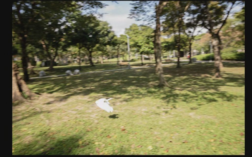 用 Leica 相機也可以拍攝到雀鳥起飛的一瞬