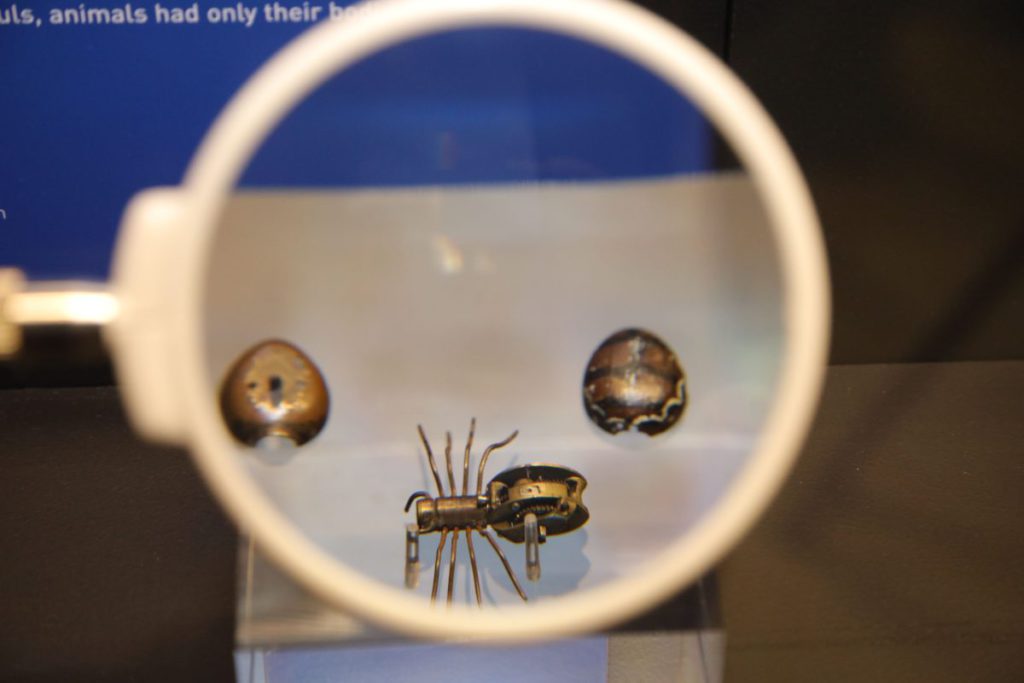 機械蜘蛛比手指還細，設計精緻。