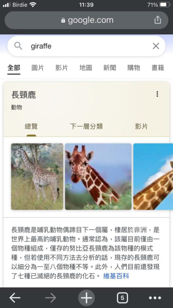 於第二代 iPhone SE 輸入 Giraffe 未有如期顯示結果。