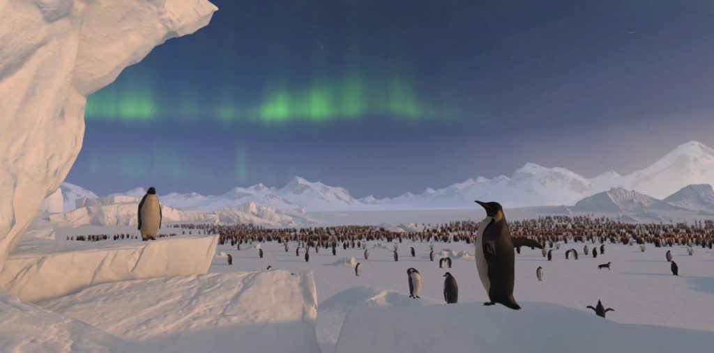 在極光下欣賞企鵝群。
