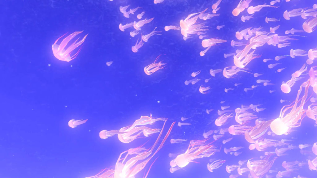 突然游來一群水母，鋪天蓋地，有些更是像自己一樣高的大水母，非常壯觀。