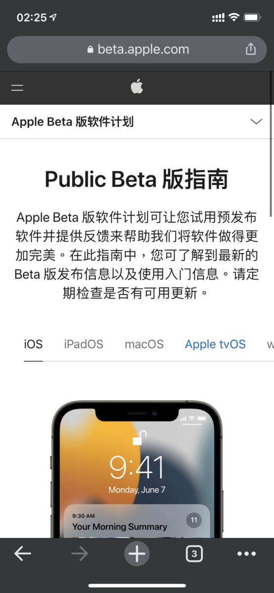 3. 在 Public Beta 版指南選擇 iOS/iPadOS 頁面；
