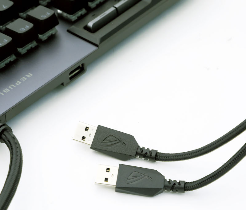 雖然有兩組 USB-A 線，但假如玩家不打算使用背後的插頭，只需連接一條即可。