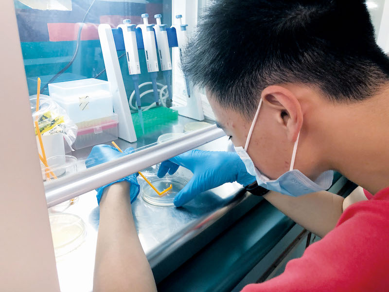 在中三的專題研習中，初中同學們能接觸及體驗生物科技所需要用到的儀器及基本技巧，目的是體驗微生物的培養及消毒程序。