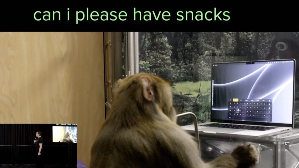 猴子跟隨發光的鍵用意志控制滑鼠在虛擬鍵盤上打字要求零食。