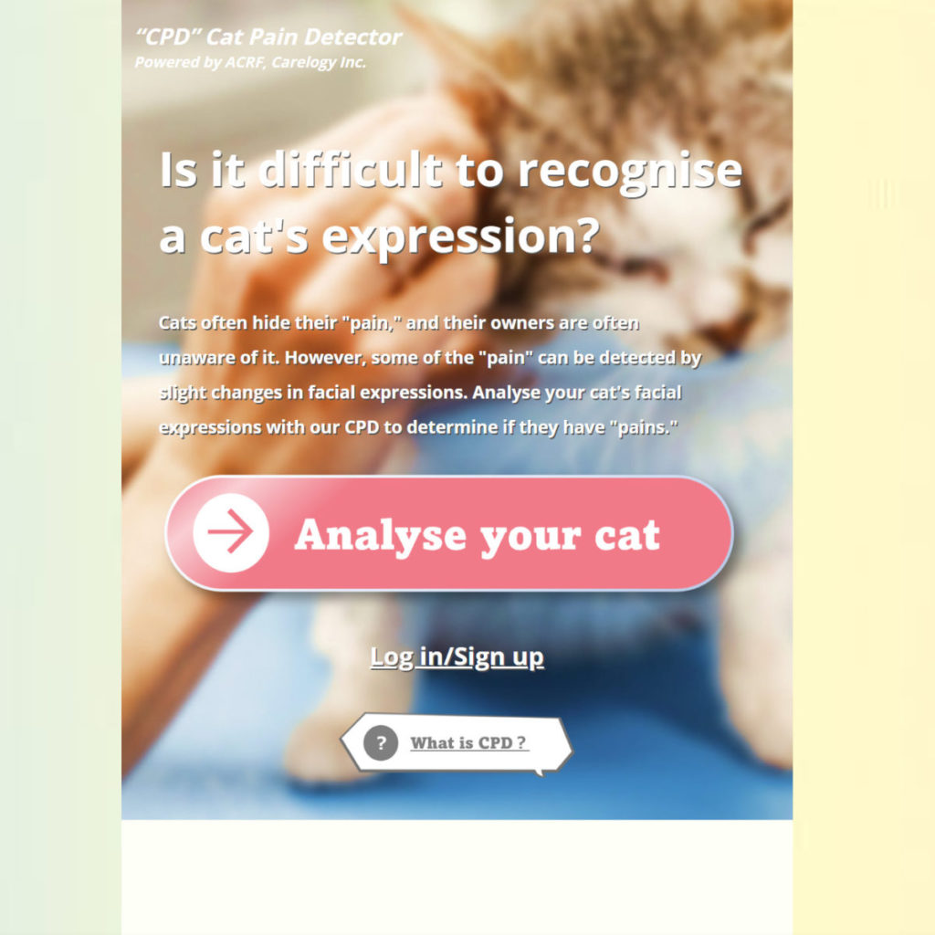 日本科技公司 Carelogy 和日本大學的獸醫師合作開發名為「貓疼痛檢測器」（Cat Pain Detector）的線上應用程式
