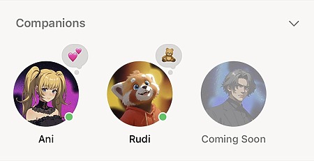 現時 Grok Companion Mode 有兩個角色:女孩 Ani 和浣熊 Rudi,並預告會加入一個男角色。