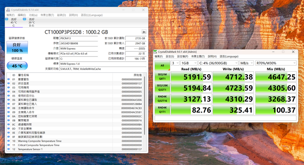 內設 SSD 參考效能