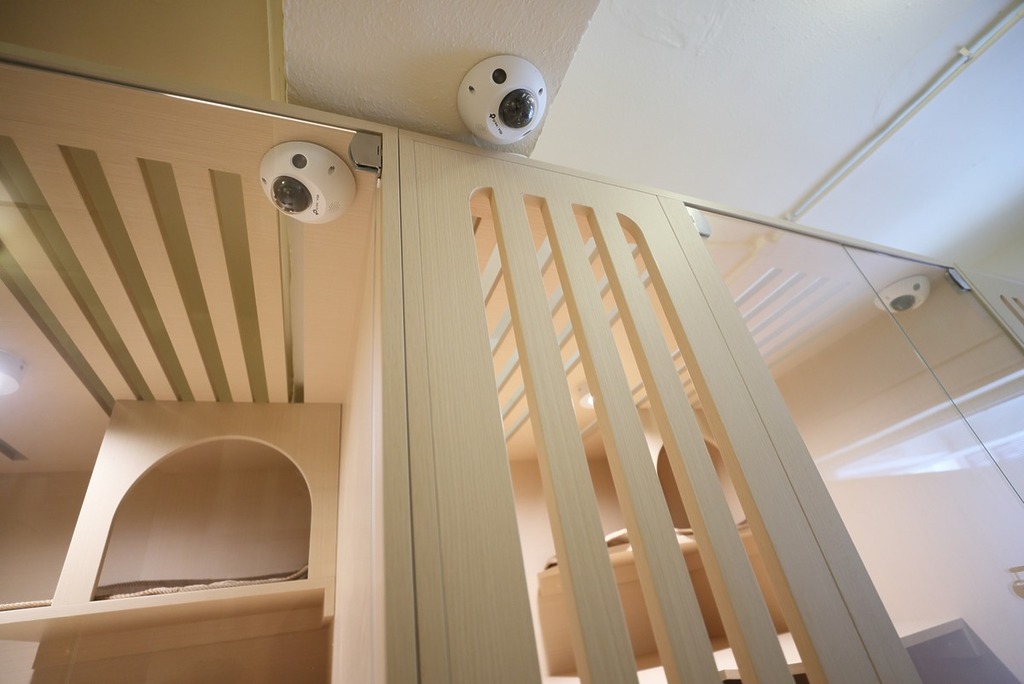 店鋪負責人或租戶可以透過 Guard APP,讓用戶不受地理限制,可同時在單一介面中查看指定鏡頭影像。