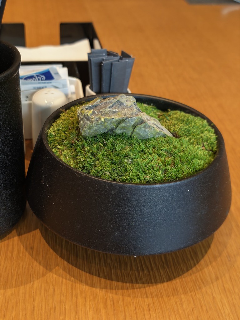 抓拍餐桌上的裝飾，石頭的質感，草的層次感表現相當出色