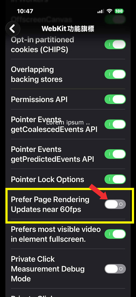 3. 關閉「Prefer Page Rendering Updates near 60fps」