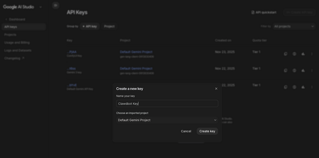 要讓 Clawdbot  調用雲端 AI 服務需要先申請一條 API Key，這裡各平台入口不同，但操作大同小異。