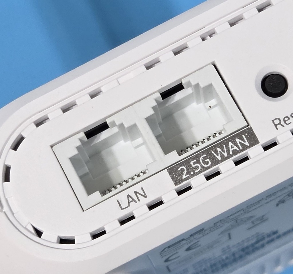 一組 2.5GbE WAN/LAN 埠及一組 1GbE LAN 埠。