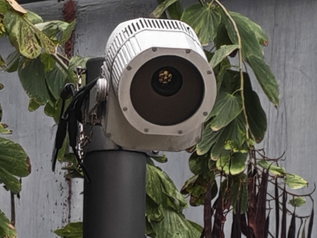 雖然在 50x AI 變焦下，已有少許油畫化，但大部分細節仍能保留下來。